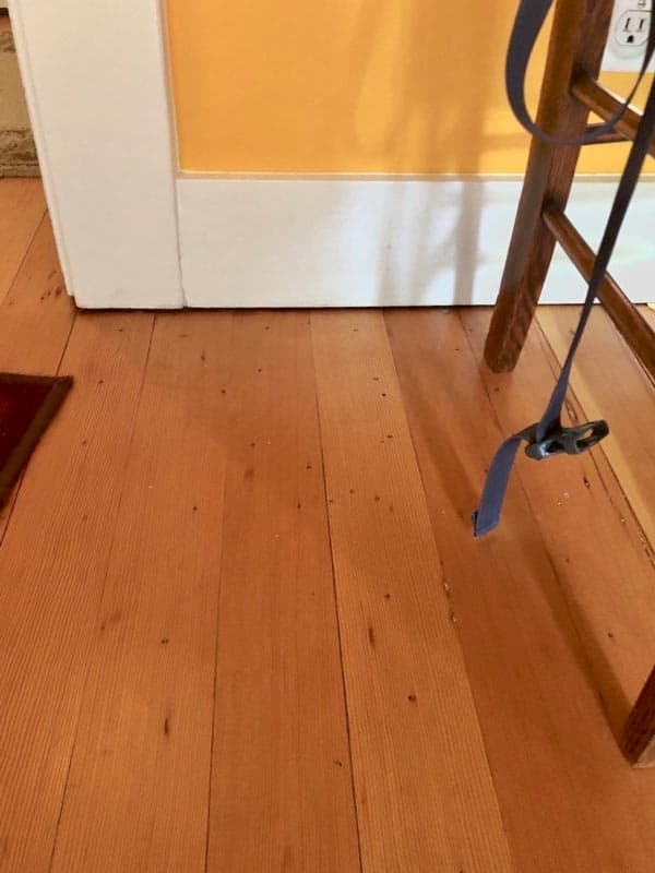 Epp Foundation Repair inspecting a gap between an interior wood floor and baseboard.