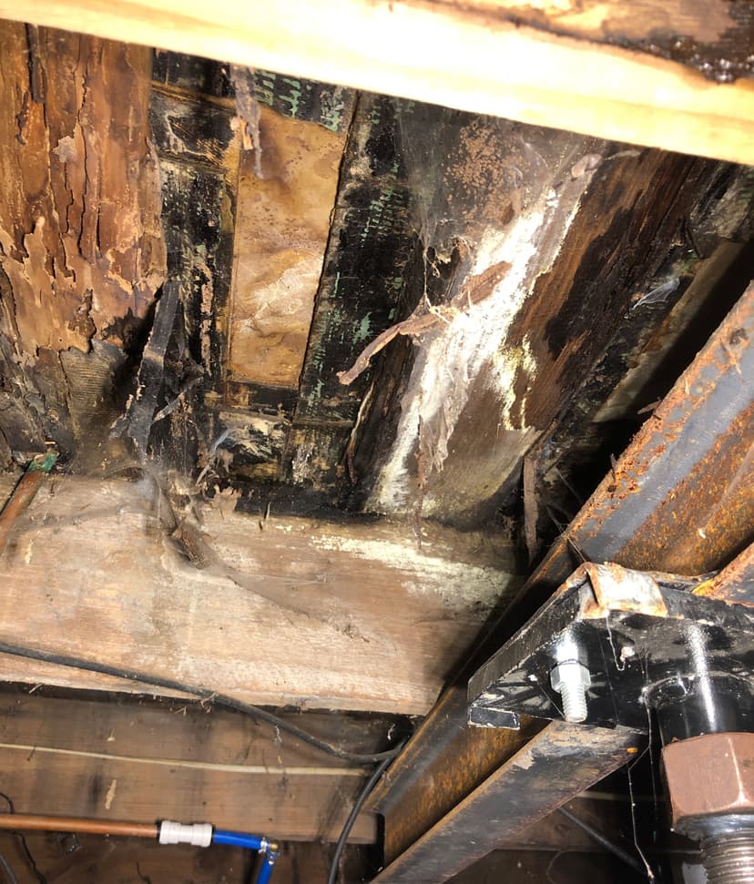 Epp Foundation Repair inspecting crawl space mold and rotting wood with a structural jack in Lincoln, NE.
