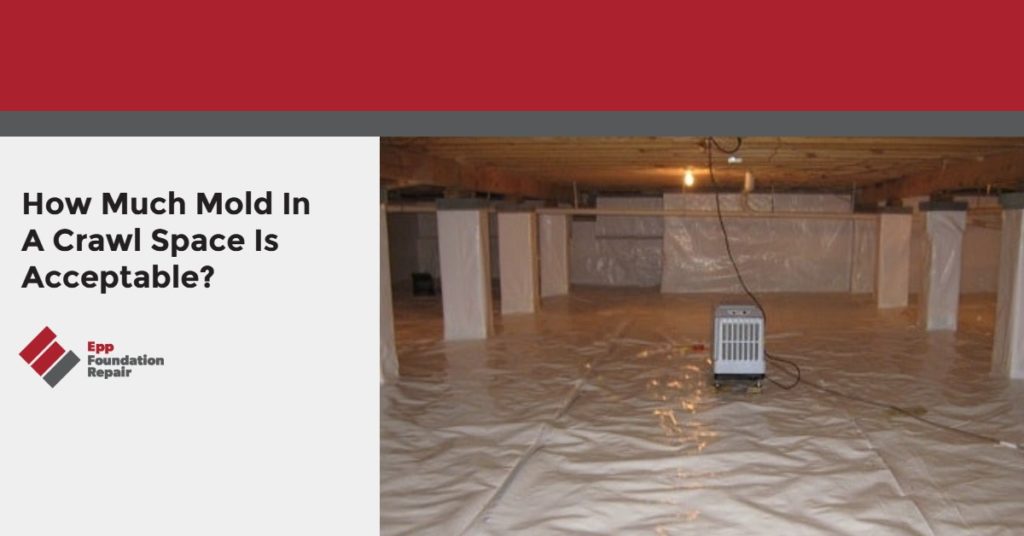 How Much Mold In A Crawl Space Is Acceptable