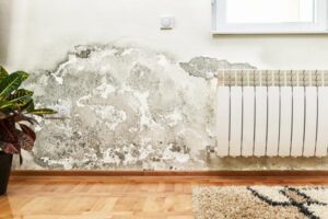 Mold can grow on concrete. While concrete is not a food source for mold, it can provide a damp and humid environment that allows mold spores to grow.