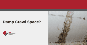 Damp Crawl Space?