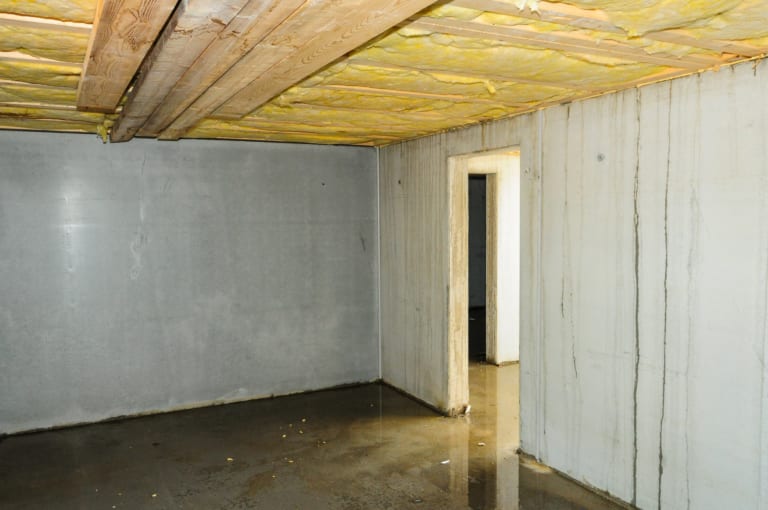 Wet basement water on floor