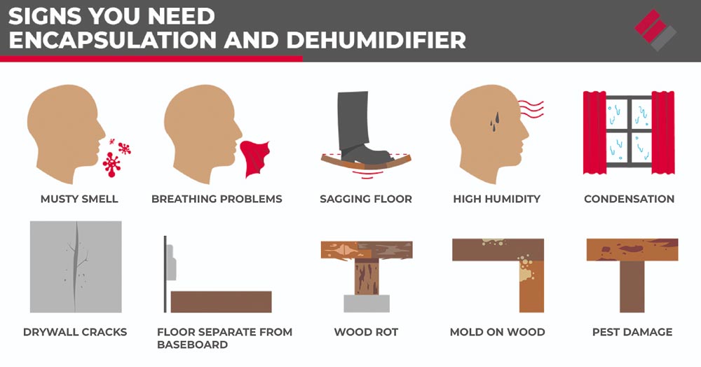 signs you need encapsulation and dehumidifier