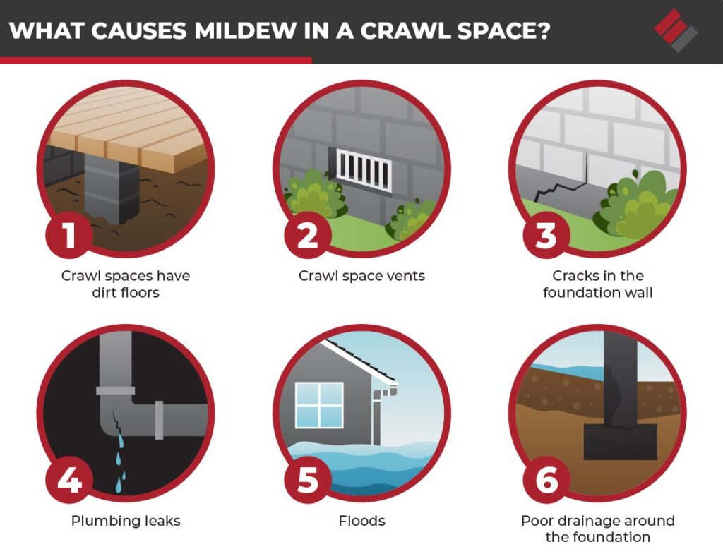 what causes mildew in a crawl space infographic